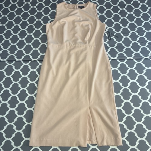 Nwt the limited dress blush - nwt,